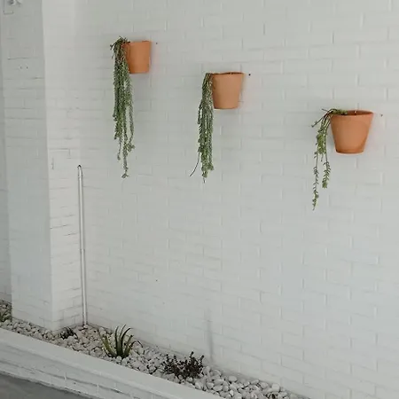 Casa Con Vistas En El Camino De Santiago Con Xacobeo Ferry A 400 M Y Playa A 750 M 펜션